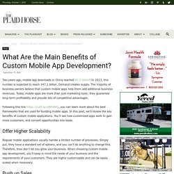 What Are the Main Benefits of Custom Mobile App Development? - The Plaid Horse Magazine