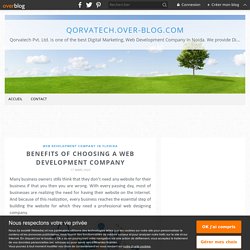 Benefits Of Choosing A Web Development Company - qorvatech.over-blog.com