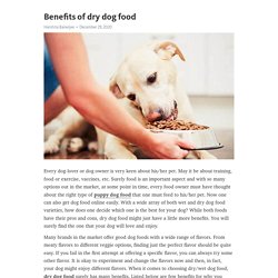 Benefits of dry dog food – Telegraph
