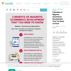 5 Benefits of Magneto Ecommerce Development That You Need to Know