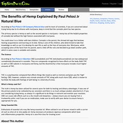 The Benefits of Hemp Explained By Paul Pelosi Jr Natural Blue