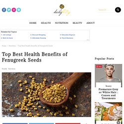 Top Best Health Benefits of Fenugreek Seeds - dailyblitzs