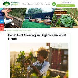 Benefits of Growing an Organic Garden at Home
