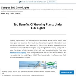 Top Benefits Of Growing Plants Under LED Lights – Seegree Led Grow Lights