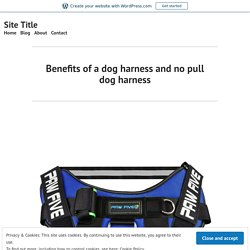 Benefits of a dog harness and no pull dog harness – Site Title