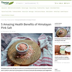 5 Amazing Health Benefits of Himalayan Pink Salt - Coconut sugar
