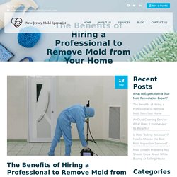 The Benefits of Hiring a Professional to Remove Mold from Your Home