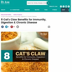 8 Cat's Claw Benefits for Immunity, Digestion & Chronic Disease - Dr. Axe