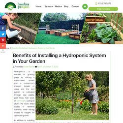 Benefits of Installing a Hydroponic System in Your Garden