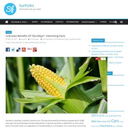 Unknown Benefits Of “Zea Mays”- Interesting Facts