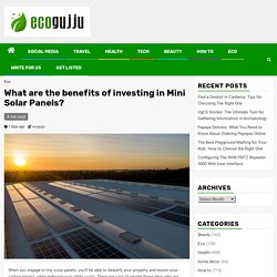 What are the benefits of investing in Mini Solar Panels?