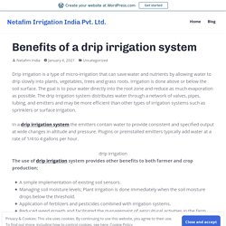 Benefits of a drip irrigation system – Netafim Irrigation India Pvt. Ltd.
