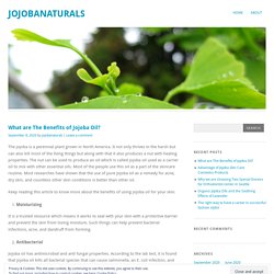 What are The Benefits of Jojoba Oil?