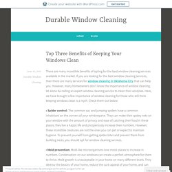 Top Three Benefits of Keeping Your Windows Clean – Durable Window Cleaning
