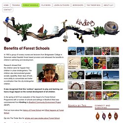 Benefits of Forest Schools