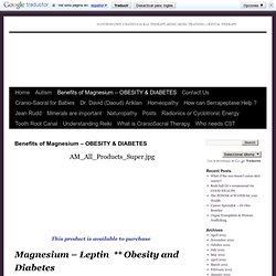 Benefits of Magnesium – OBESITY & DIABETES
