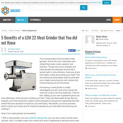 Buy LEM 22 Meat Grinder Online