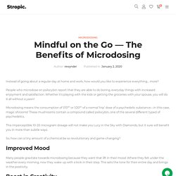 Mindful on the Go — The Benefits of Microdosing - Stropic - Magic Mushrooms Canada