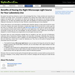 Benefits of Having the Right Microscope Light Source for Your Laboratory Use
