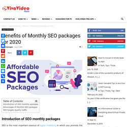 Benefits of Monthly SEO packages for 2020 - VivaVideo App