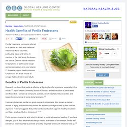 Health Benefits of Perilla Frutescens