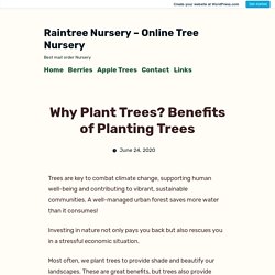 Why Plant Trees? Benefits of Planting Trees – Raintree Nursery – Online Tree Nursery