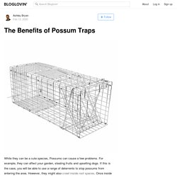 The Benefits of Possum Traps