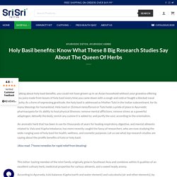 Holy Basil benefits: Know What These 8 Big Research Studies Say About The Queen Of Herbs