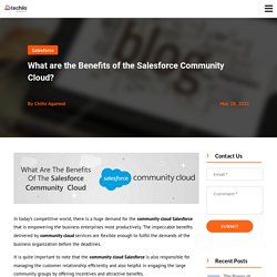 What are the Benefits of the Salesforce Community Cloud?