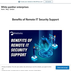 Benefits of Remote IT Security Support – White panther enterprises
