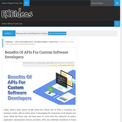 Benefits Of APIs For Custom Software Developers