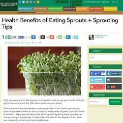 Health Benefits of Eating Sprouts + Sprouting Tips