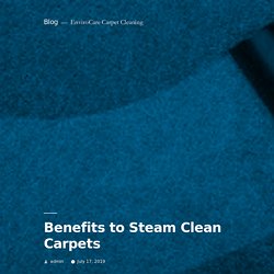 Benefits to Steam Clean Carpets - Blog