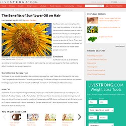 The Benefits Of Sunflower Oil On Hair