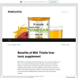 Benefits of Milk Thistle liver tonic supplement