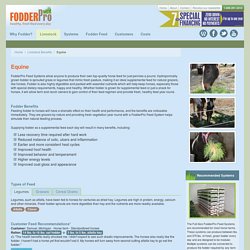 Equine Benefits - Fodder Systems - Healthy, fresh feed every day