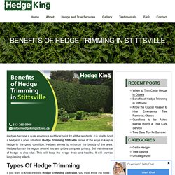 Benefits of Hedge Trimming in Stittsville - Hedge King