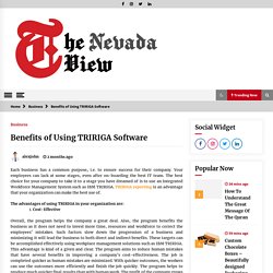 Benefits of Using TRIRIGA Software -