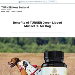 Benefits of TURNER Green Lipped Mussel Oil for Dog