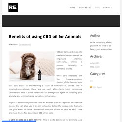 Benefits of using CBD oil for Animals