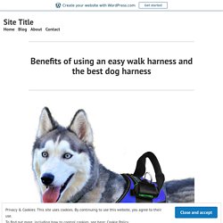 Benefits of using an easy walk harness and the best dog harness – Site Title