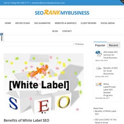 Benefits of White Label SEO - SEO Rank My Business