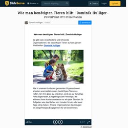Dominik Hulliger PowerPoint Presentation - ID:9927988