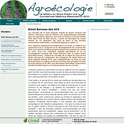 Brésil Berceau des SCV / Dossiers / Site Agroécologie - Agroecologie