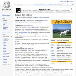 Berger des Tatras