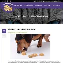 Best 5 Healthy Treats for Dogs