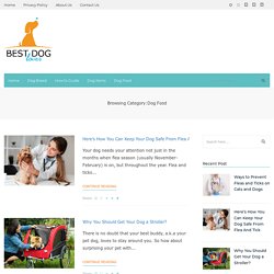 Best Adult Dog Food Review in 2020
