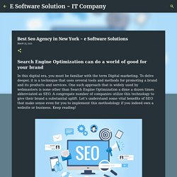 Best Seo Agency in New York - e Software Solutions