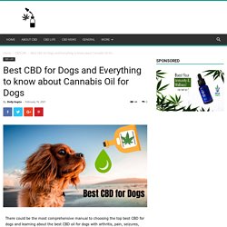 Best CBD for Dogs: CBD for Arthritis, Cancer, and CBD Dosage for Dogs