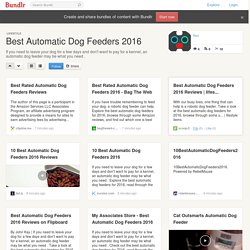 Best Automatic Dog Feeders 2016